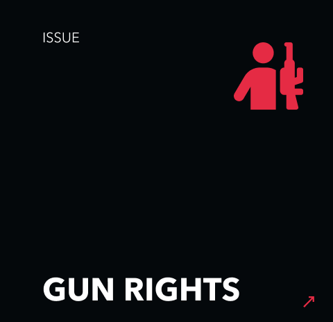 The issue of Gun Rights